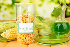 Kingsley Green biofuel availability